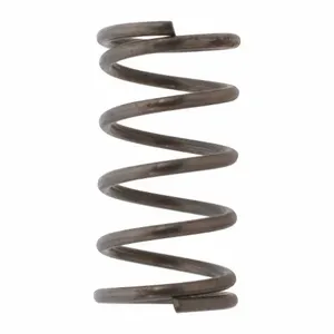 DAYTON PN5ZL18007G Valve Spring | AH9WQU 45L866