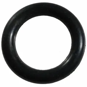 DAYTON PN5ZL25002G Coil Spring | AH9WQF 45L833