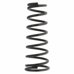 DAYTON PN5ZL25008G Spring | AH9WPZ 45L827