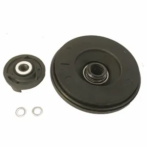 DAYTON PP092IBSK01G Impeller Backhead And Seal Kit | AD6NEQ 46K822