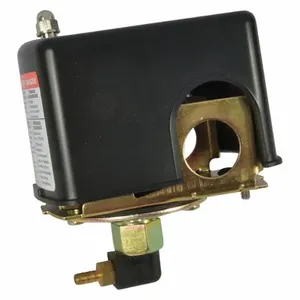 DAYTON PP21000403G Pressure Switch Kit | AG9XNM 23AZ16