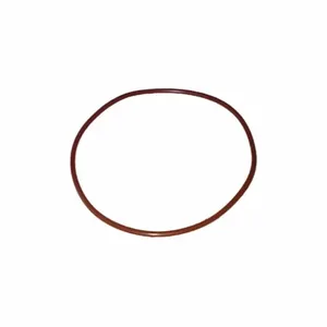 DAYTON PP21101250001G O-Ring Gasket | AG9XHW 23AV81