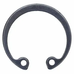 DAYTON PP3736G Bearing Circlip | AG9GPV 20GG57