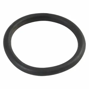 DAYTON PP3785G O-Ring | AG9GQQ 20GG98