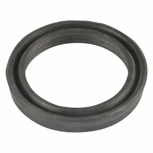 DAYTON PP3829G Rubber Ring | AG9GRN 20GH42