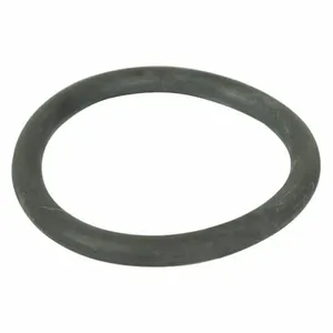 DAYTON PP3834G O-Ring PK2 | AG9GRU 20GH47