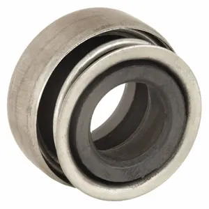 DAYTON PP60010G Mechanical Seal | AD6NRR 46L486