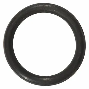 DAYTON PP60071G O-Ring Viton | AG9YCJ 23CJ13