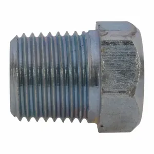 DAYTON PP60150AG Npt Pipe Plug Zinc Plated 1/8 | AG9XDG 23AT23