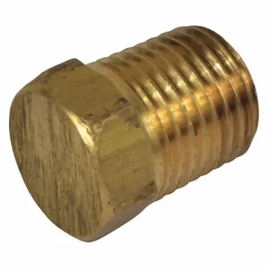 DAYTON PP60155G Pipe Plug 1/4 NPT | AG9YDC 23CJ34