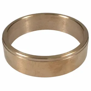 DAYTON PP60170G Wear Ring | AG9YDD 23CJ35