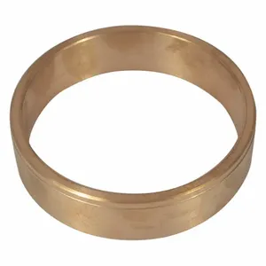 DAYTON PP60172G Wear Ring | AG9YDE 23CJ37