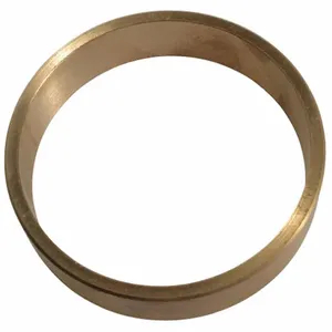 DAYTON PP60174G Wear Ring | AG9YDG 23CJ39