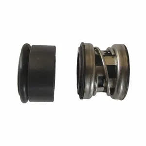 DAYTON PP6026G Mechanical Seal | CJ2UKC 34UU79