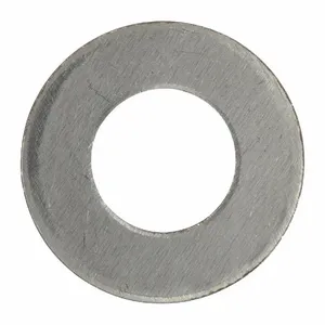 DAYTON PP60356G Shim, 0.031 Inch Size, 2Pk | CJ3HWG 23AU03