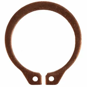 DAYTON PP800003G External Retaining Ring | AD6NQC 46L416