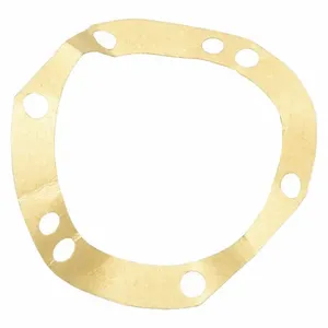 DAYTON PP810003G Gasket | AD6NQH 46L433