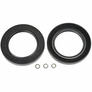 DAYTON PPHP51000211G Oil Seal Repair Kit | AG9TRN 22HH16