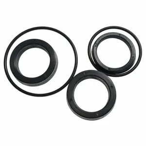 DAYTON PPKITOP09G Sealing Kit | AG9XTV 23CD54