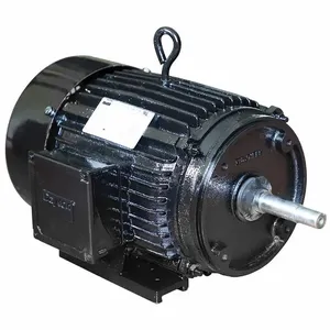 DAYTON PPLTEJ23TCEG Motor, 10 HP, TEFC | CJ2VJY 34UU03