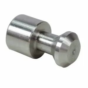 DAYTON PPM3ZN011G Piston | AH2HPF 29AG19