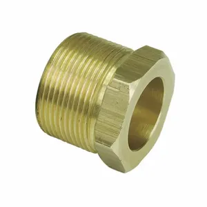 DAYTON PPM5ZN001G Packing Nut | AH2HPE 29AG12