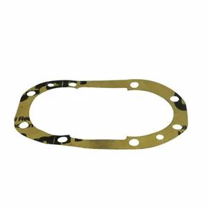 DAYTON PPM9ZN011G Gasket | AH2HLV 29AE88