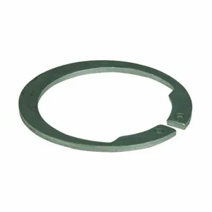 DAYTON PPO31N002G External Retaining Ring | AH2HLG 29AE69