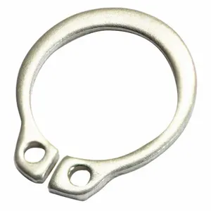 DAYTON PPO325701G External Retaining Ring | AH2HLH 29AE70