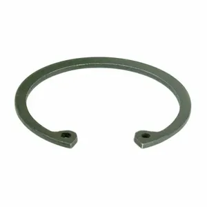 DAYTON PPO6ZN004G Internal Retaining Ring PK2 | AH2HMW 29AF40