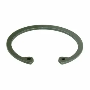 DAYTON PPO6ZN010G Internal Retaining Ring PK2 | AH2HMY 29AF43