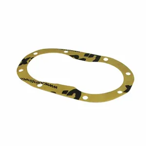 DAYTON PPO9ZN002G Gasket | AH2HLY 29AE93