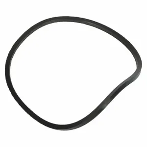 DAYTON PPTCEN06G Gasket | AD6NMJ 46L265