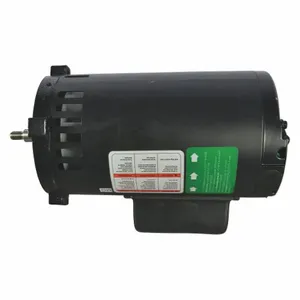 DAYTON PPTNXZ31G Motor | AD6NGN 46K904