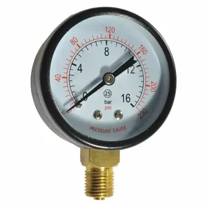 DAYTON TT10Z913PGG Pressure Gauge | AH9WPE 45L786