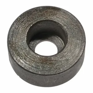 DAYTON TT1305029G Eccentric Bushing | AH9WVL 45M284