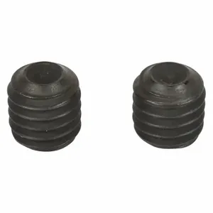 DAYTON TT2040104040100G Hex Socket Screw, Heavy Duty, 5YAP6 | CR2YEJ 45M331