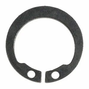 DAYTON TT2040304480100G Ex Concentric Ring | CJ2CTX 45M230