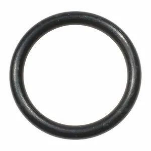 DAYTON TT2041102020100G O Ring | CJ2YUT 45M229