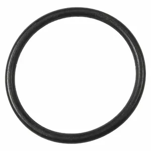 DAYTON TTRL12162G O Ring | CJ2YUR 45M382