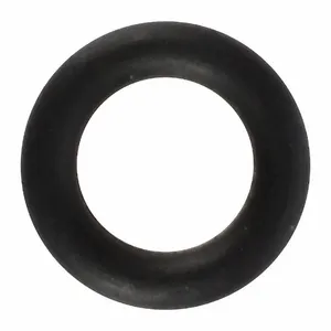 DAYTON TTRL604807G O Ring | CJ2YWF 45M376