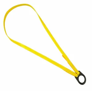 DBI-SALA 1201422 Scaffold Choker, 2 ft Overall Length, Polyester, Fixed D-Ring, Reusable | CV3FGC 40A155