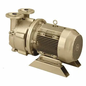 DEKKER VACUUM TECHNOLOGIES, INC. DV0080D-MA3-SGL Liquid Ring Vacuum Pump, Motor-Mounted, 1 Stage, 75 cfm, 29 Inch Size Hg Max Vacuum | CP3LRN 443X48