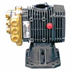 DELCO 7107997 Pressure Washer Pump | CP3LTK 493Y49