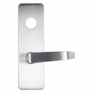 DETEX 09DS RHR 626 Key Trim, Lever, 1, Satin Chrome, 48 Inch Max. Door Width, All Detex | CP3MXW 54PC16