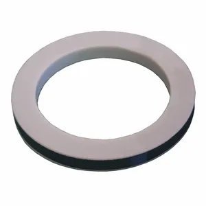 DIXON 300-G-TF Cam and Groove Gasket, PTFE, 3 Inch Size, With Buna Filler, 1 Blue Stripe | AK2RCH