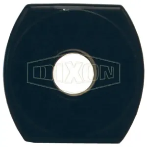 DIXON 4315-01 Pipe Adapter, 1/4 Inch PTF Size | AL4JDN