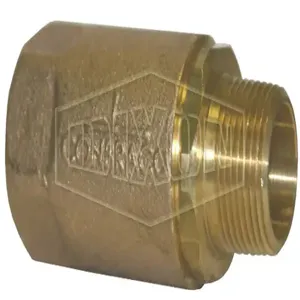 DIXON 61-205 Ball Cone Check Valve, Male NPT x Female NPT, Cold Non-Shock, 1 Inch Size | BX7ZHR