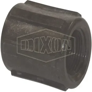 DIXON 62194 Pipe Coupling, 2 Inch FNPT Size, Polyoropylene | AM9FWD