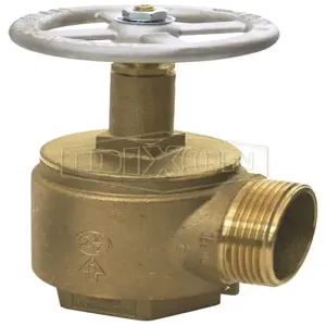 DIXON AV250-I Cast Brass Angle Valve Female Inlet, 2-1/2 FNPT Inlet, 2-1/2 MNST Outlet | BX6UYL